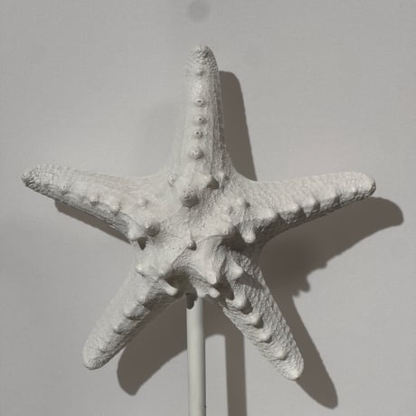 Starfish Object