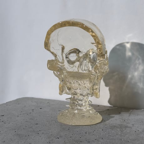 Skull Clear Object
