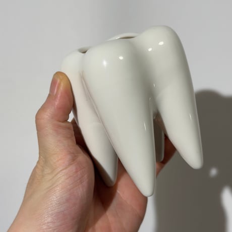 Milk Tooth Case
