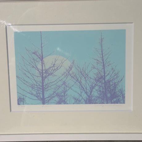 Winter Forest Moon Picture