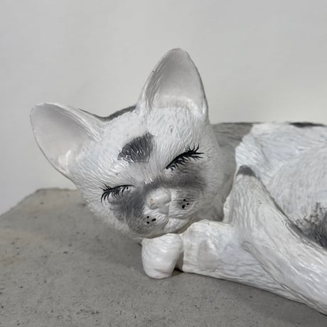 Sleeping White Cat