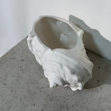 Ceramic Shell Case