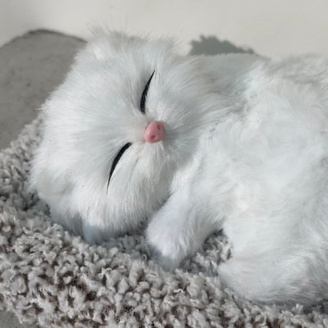 Sleeping Cat