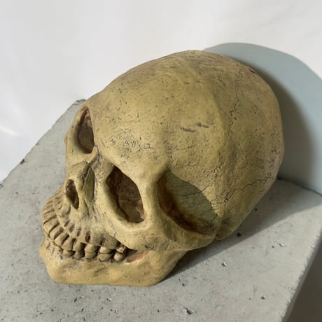 Skull Coin Bank