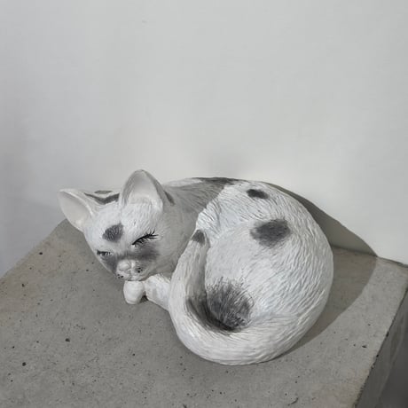 Sleeping White Cat