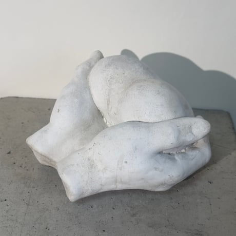 Heart in Hands
