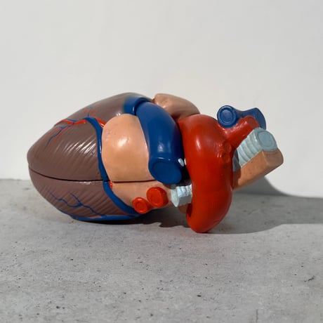 Heart Model Figure