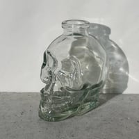 Skull Glass Vase