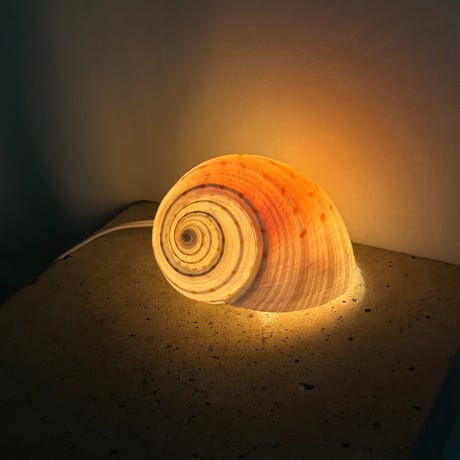 Snail Shell Lamp