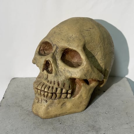 Skull Coin Bank