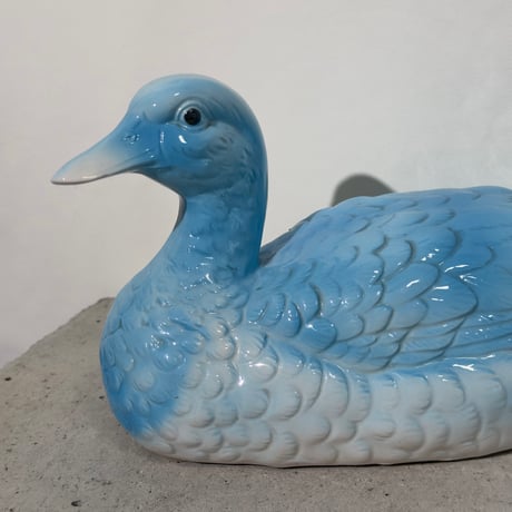 Blue Duck Object