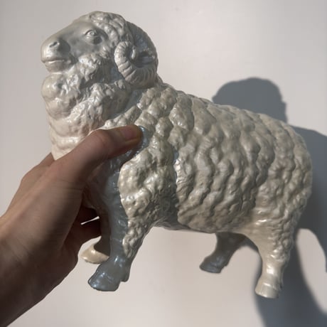 White Sheep