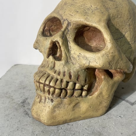 Skull Coin Bank