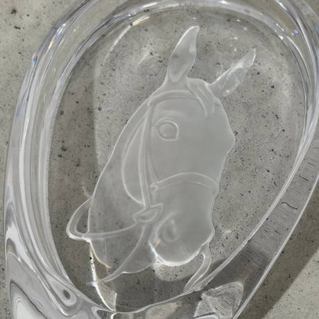 Horse Hoof Tray