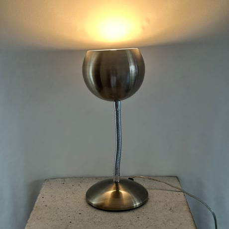 Flexible Stand Light