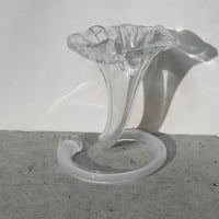 Glass Flower Vase