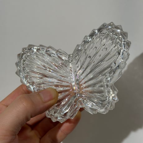 Glass Butterfly Box