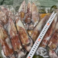 🦑日本海産 白イカ（胴長20cm前後）3尾入り × 5袋（合計15尾）