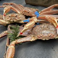 【活】松葉蟹　中　約700g～850g  3枚セット