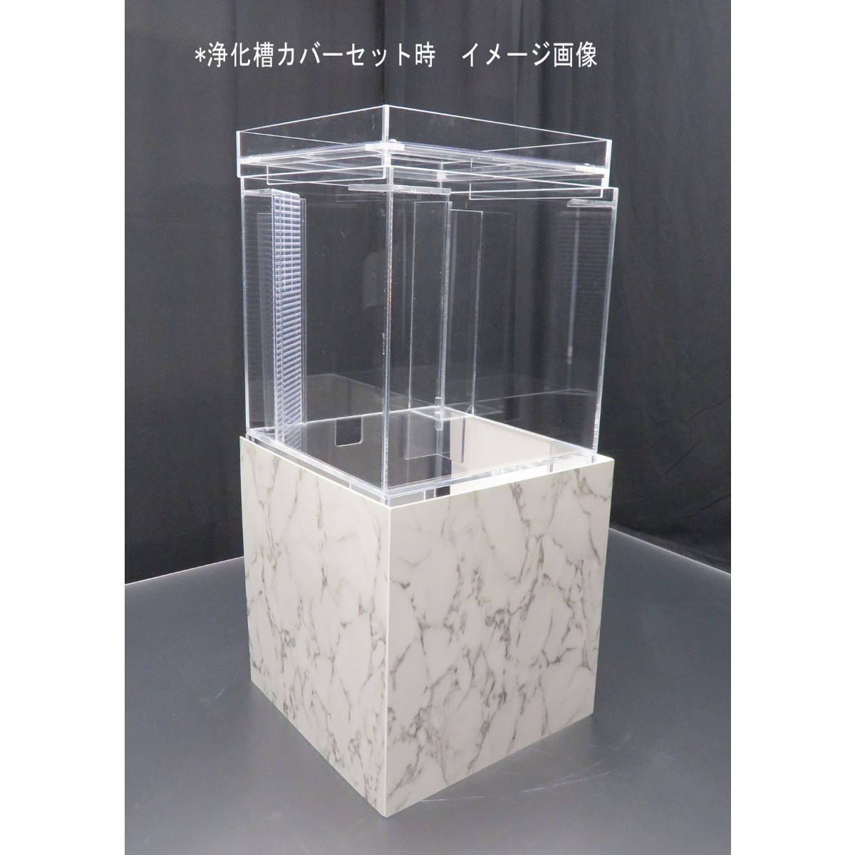 ガラス水槽オーバーフロー (30cm x 30cm x 30cm)
