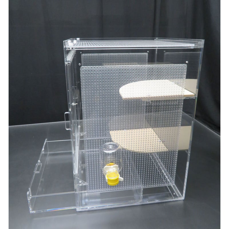 送料込】フクロモモンガ飼育セットアクリル製ゲージ