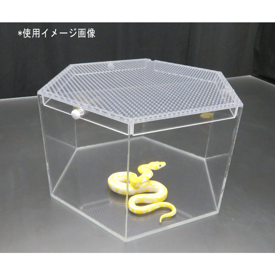 fit=scale-down,w=1200 fit=scale-down,w=1200