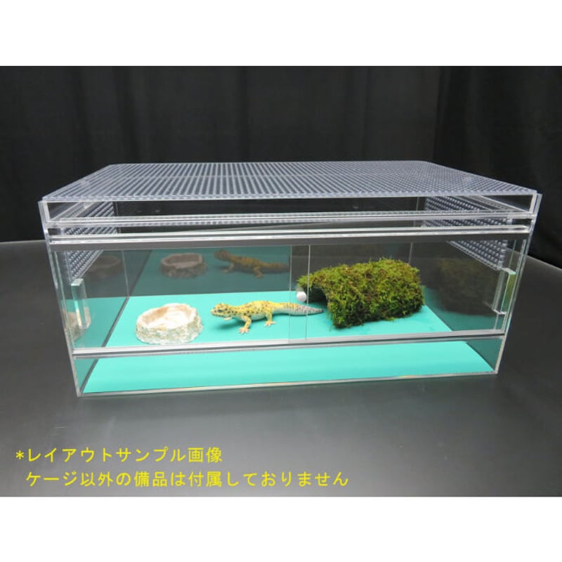 新レオパケージ 50×28×22cm | アクリルケージのお店 新レオパケージ 50×28×22cm | アクリルケージのお店