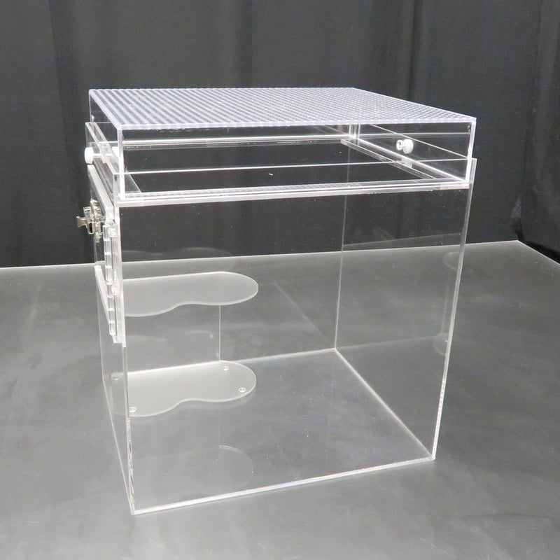 5000円 クレステッドゲッコー自作レイアウト用品制作 - 2023-03