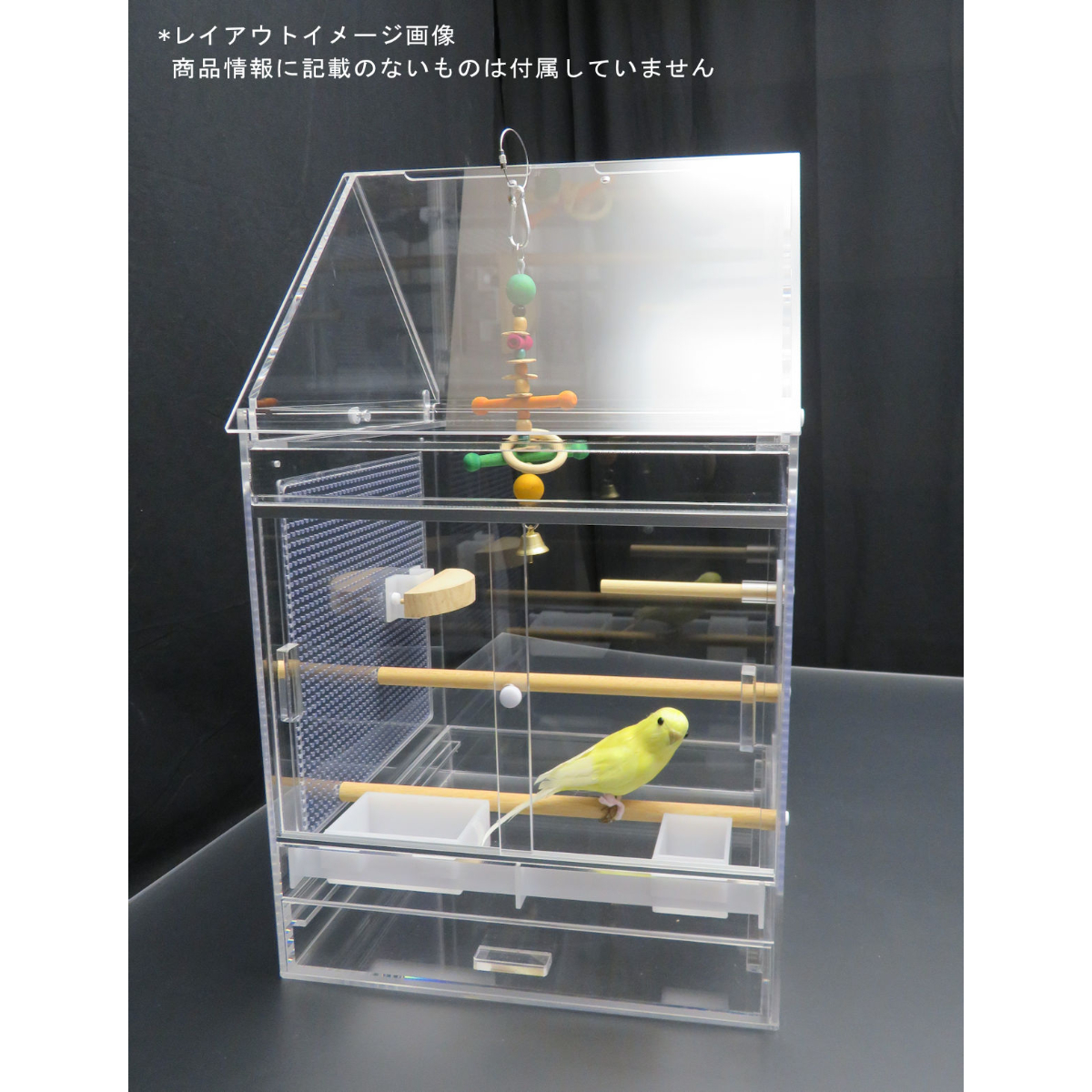 鳥の羽 | はーくん【中学生】の探鳥記