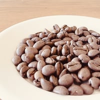 ニカラグアSHG　100g