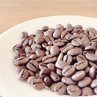 エルサルバドルSHB　100g