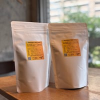 Guatemala Cobán Aurora グアテマラ・ コバン オーロラ
