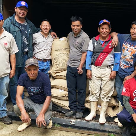 Guatemala Cobán Aurora グアテマラ・ コバン オーロラ