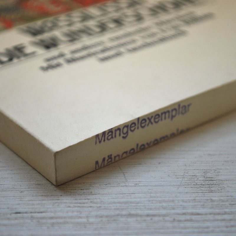 イワン・ビリービン 「麗しのワシリーサ」 Ivan Bilibin 