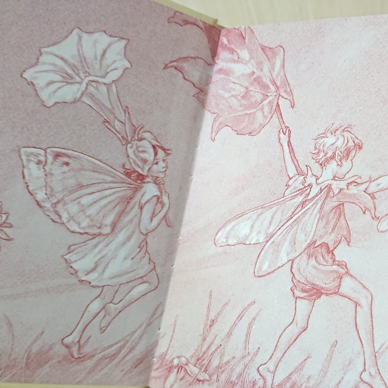 シシリー・メアリー・バーカー 「花の妖精たち 秋」ドイツ語版 Cicely