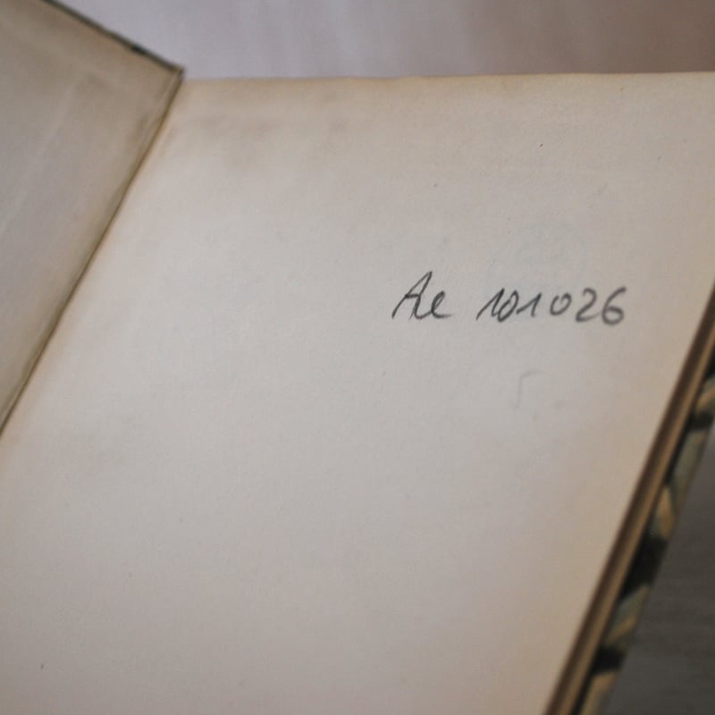 インゼル文庫54番 「小さな宝石の本」 