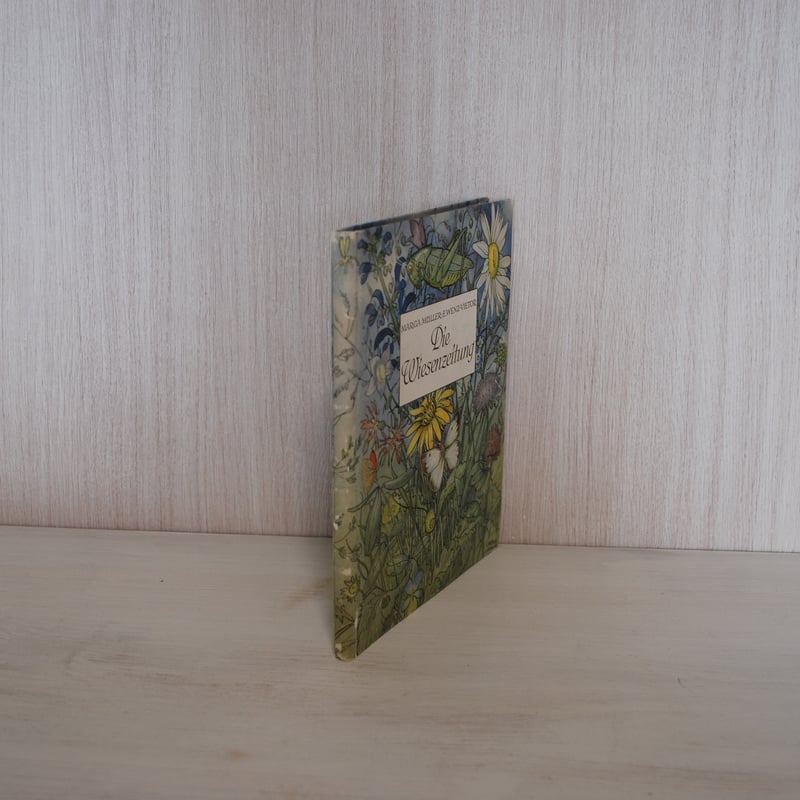 Else Wenz-Vietor 