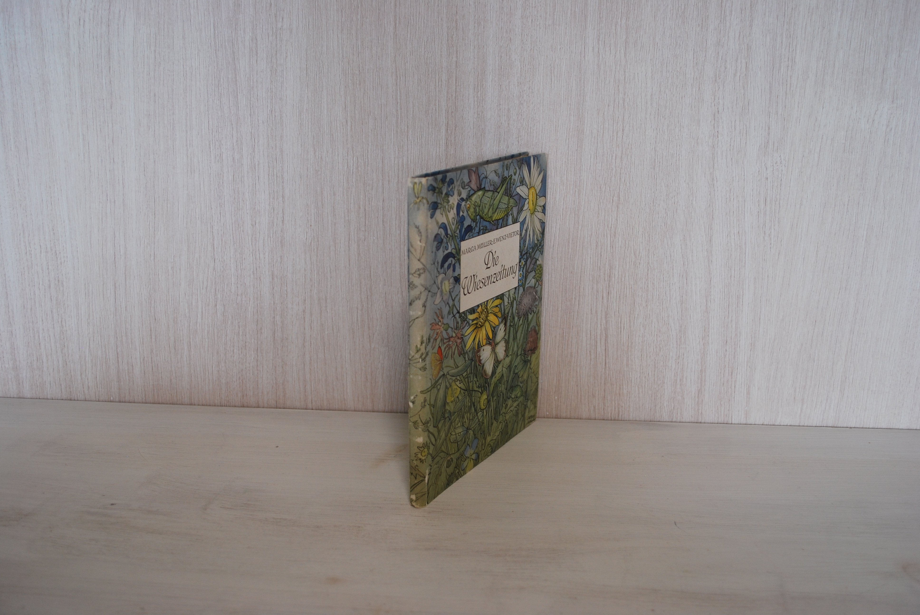 Else Wenz-Vietor 