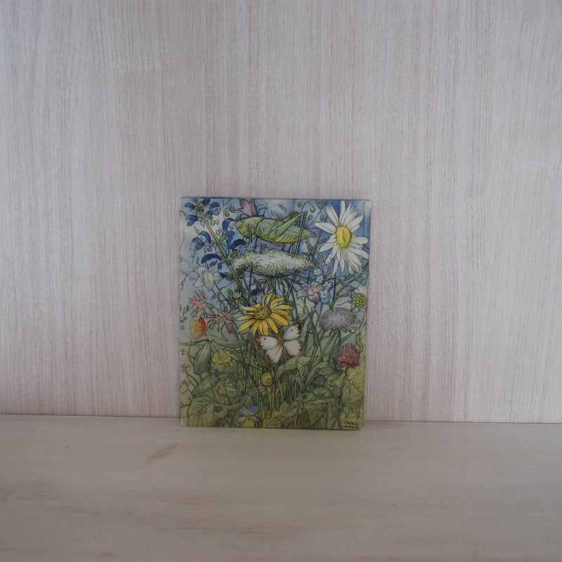 Else Wenz-Vietor 