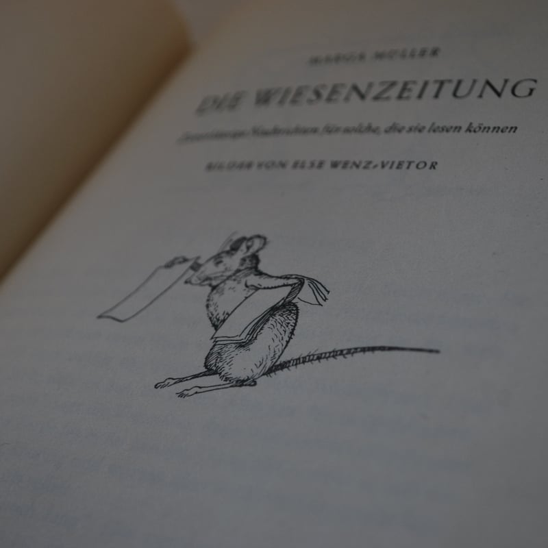 Else Wenz-Vietor 