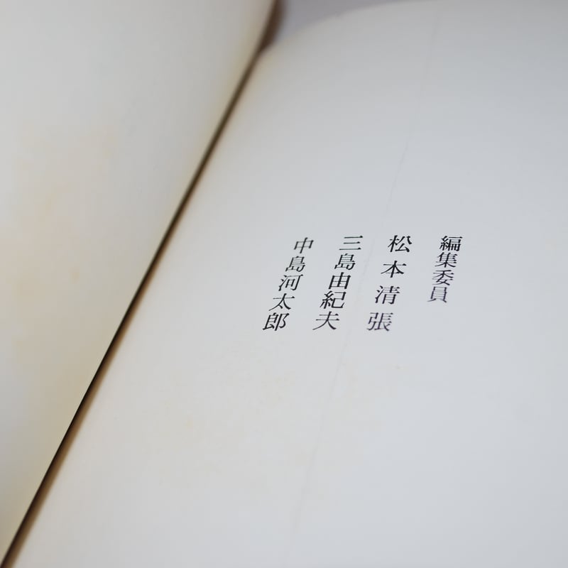【希少・匿名配送】江戸川乱歩★黒蜥蜴★暗黒星★2冊セット★横尾忠則 江戸川乱歩全集10 暗黒星(江戸川乱歩/著 横尾忠則/挿絵 講談社