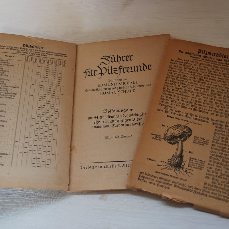 1920年代 ドイツのキノコ図鑑 ” Führer für Pilzfreunde 