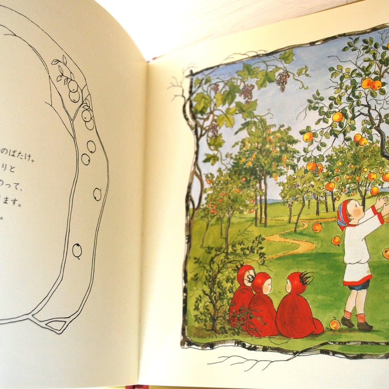 絵本・児童書 iolus 絵本・児童書 iolus S.V.オルファース