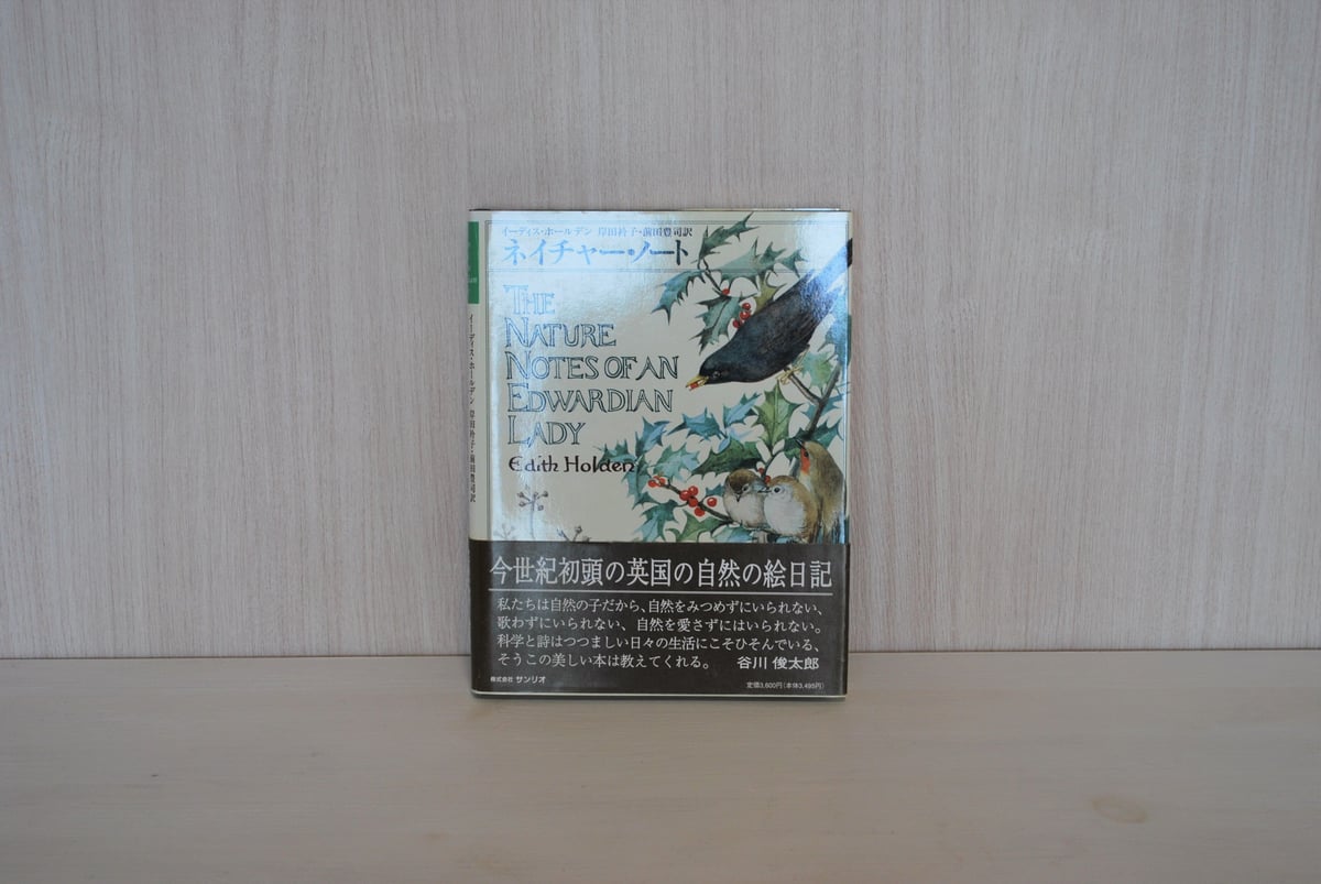 洋書 イギリスアンティークThe Nature Notesクリスマス　宿木 洋書 イギリスアンティークThe Nature Notesクリスマス 宿木