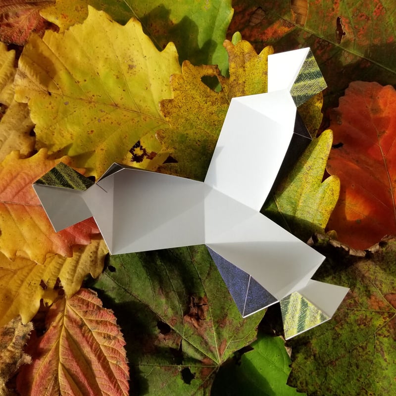 葡萄（ぶどう）」ギフトボックス展開図 | Kyoco's 展開図