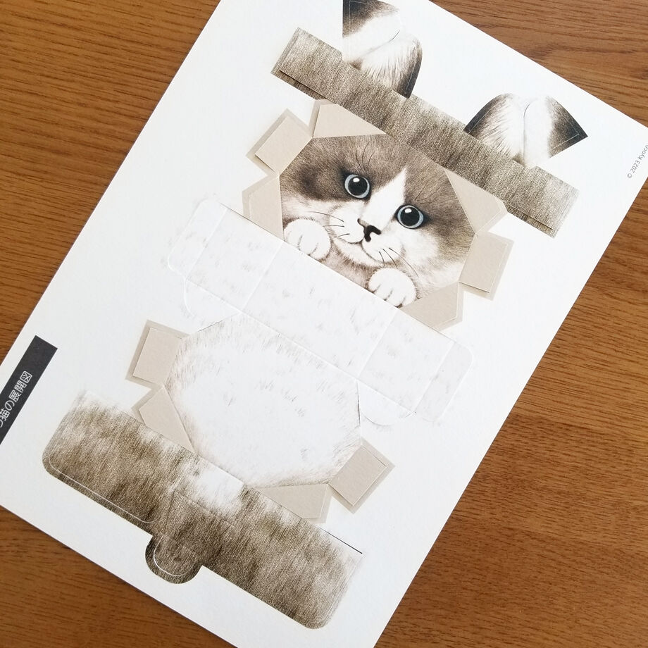印刷済み「見つめる猫ハチワレ版」ギフトボックス展開図 | Kyoco's 展開図