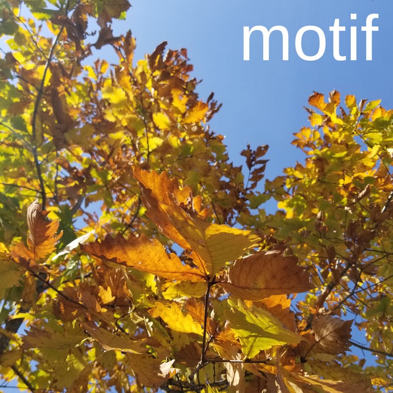 どんぐり」ギフトボックス展開図 | Kyoco's 展開図