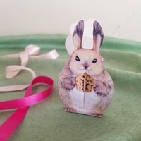 「エゾリス」ギフトボックス展開図