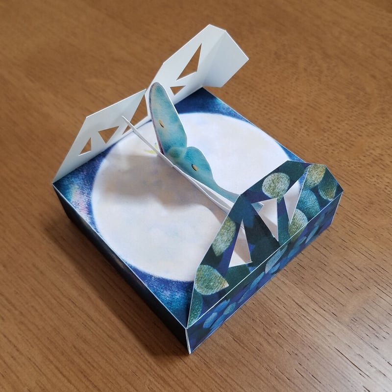 オオミズアオ」ギフトボックス展開図 | Kyoco's 展開図