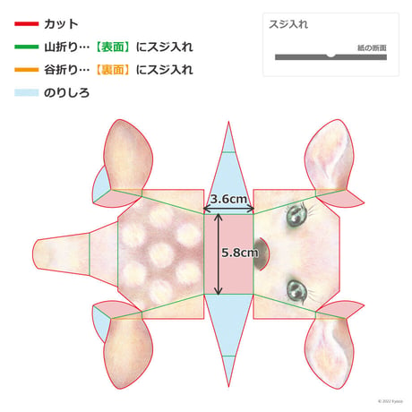 「エゾシカ」ギフトボックス展開図